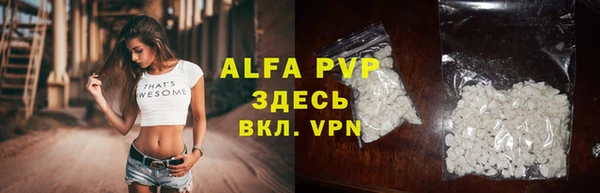дживик Арсеньев
