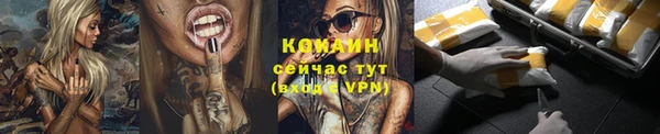 дживик Арсеньев