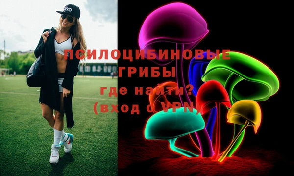 дживик Арсеньев