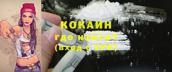дживик Арсеньев
