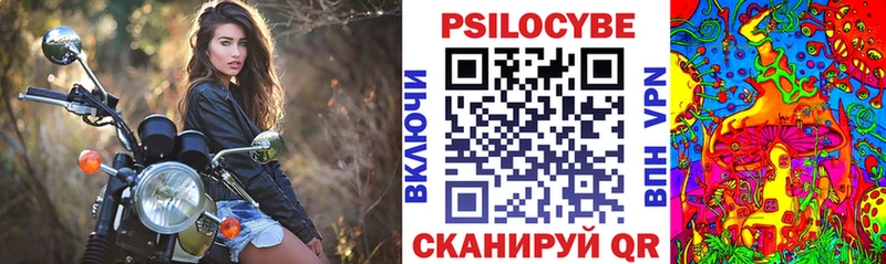 Галлюциногенные грибы Psilocybine cubensis  дарнет шоп  Нязепетровск 