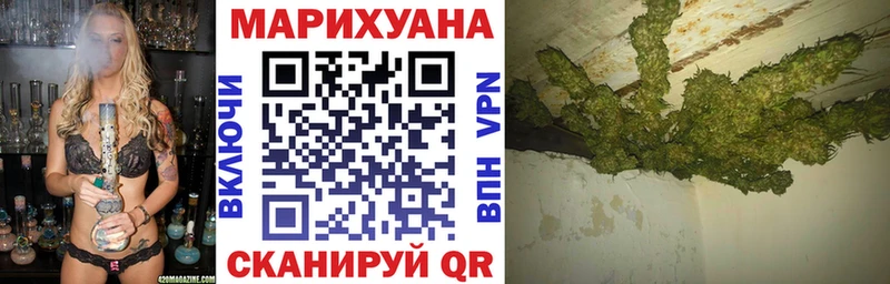 Конопля планчик  Нязепетровск 